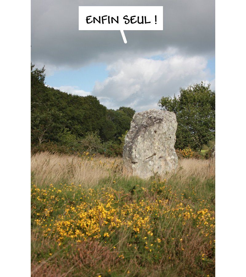 Les alignements de Carnac