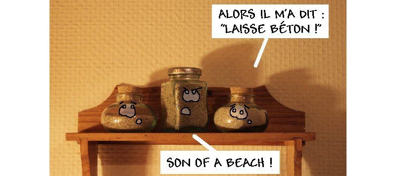 Un(e) arénophile est celui (ou celle) qui collectionne des échantillons de sable.