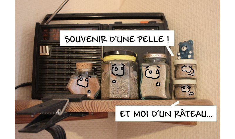 Du mot "arénite" : sédiments de taille comprise entre 0,065 mm et 2mm et "phile" : qui aime.