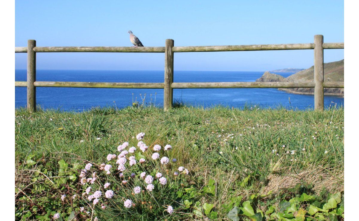 Le fort du Minou – Mardi 18 avril 2017