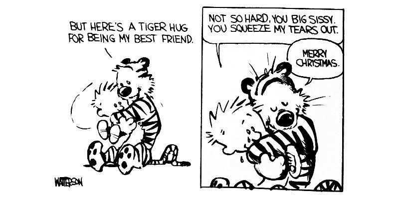 Calvin and Hobbes - Bill Watterson