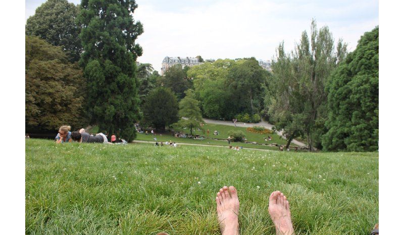 Sur la pelouse - Parc des Buttes Chaumont - Paris - Vendredi 1er août 2014