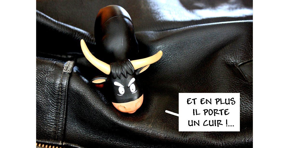La vache rit : "Encordée, cow ne rit !"