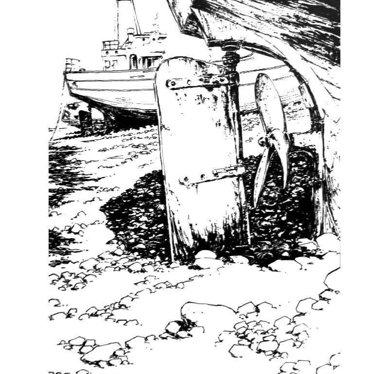 Mâle de mer - Guillaume Sorel & Laëtitia Villemin