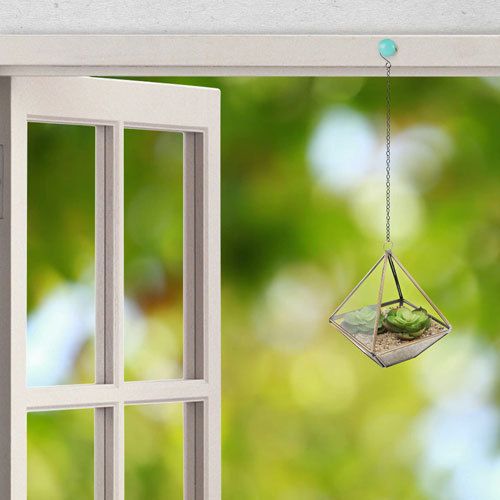 terrarium suspendu decoration interieur