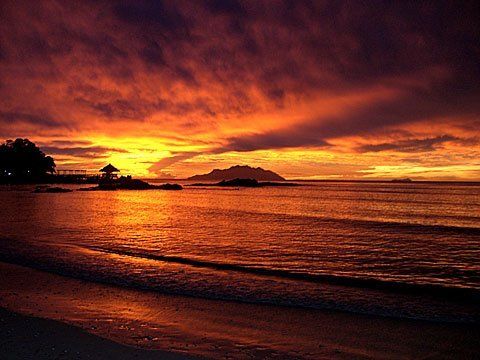 CONFUCIUS PROFITER DE LA LUMIÈRE DE L'ÉTÉ