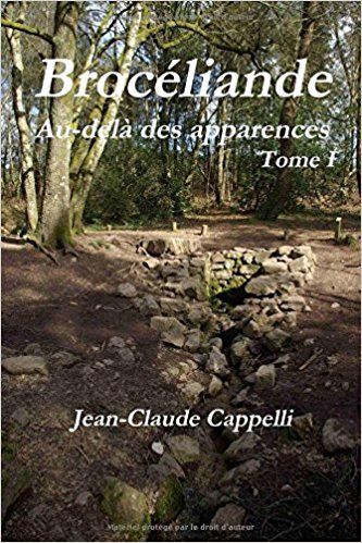 CONFUCIUS PROFITER DE LA LUMIÈRE DE L'ÉTÉ