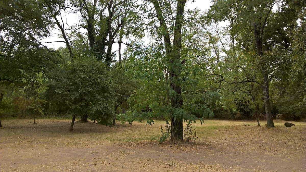 Parc ombragé pour les déjeuners sur l'herbe