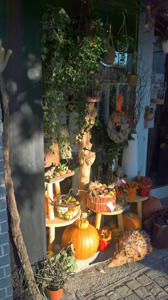 Décoration "citrouilles" chez un fleuriste *