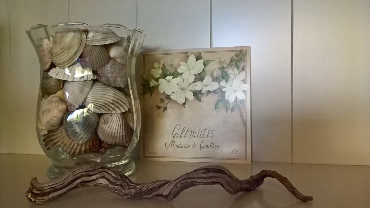 coquillages décoration idée DIY vase