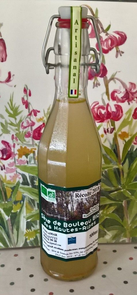 sève bouleau détox bouteille