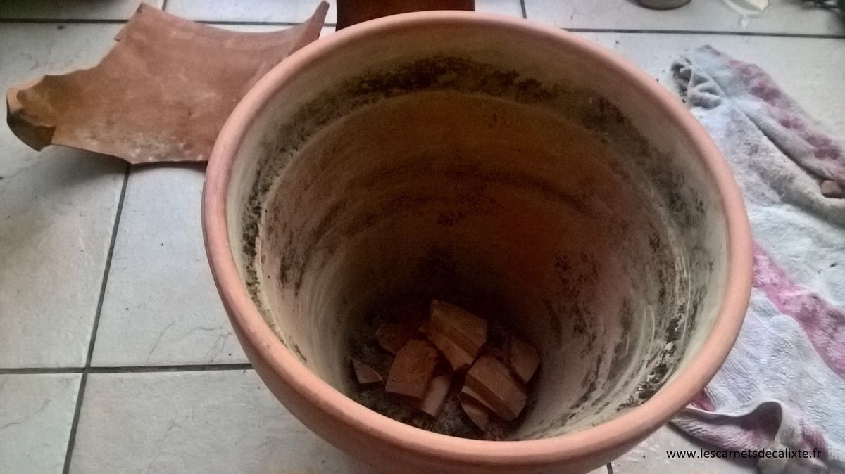 tessons billes argiles drainage plantes