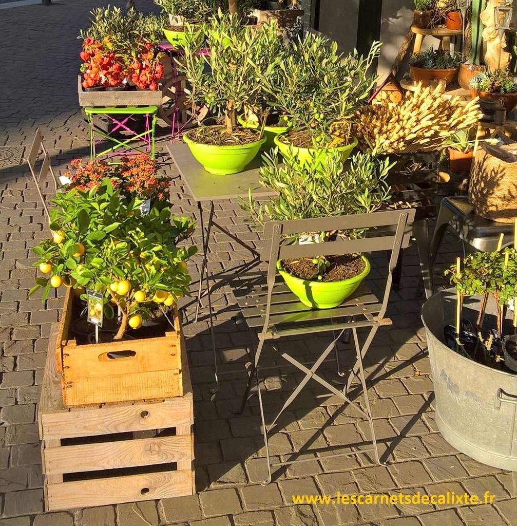 fleuriste devanture ville décoration florale caisse bois
