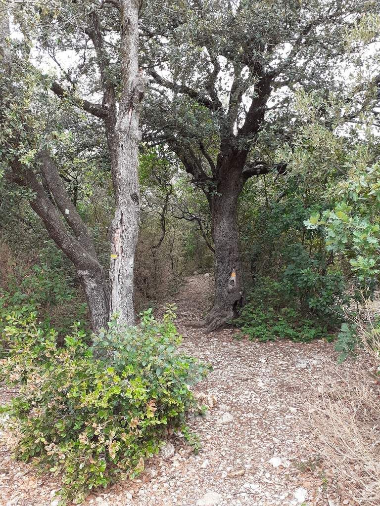 sentier de randonnée