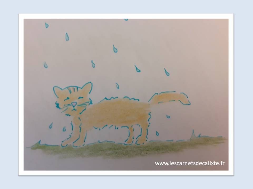 les carnets de calixte