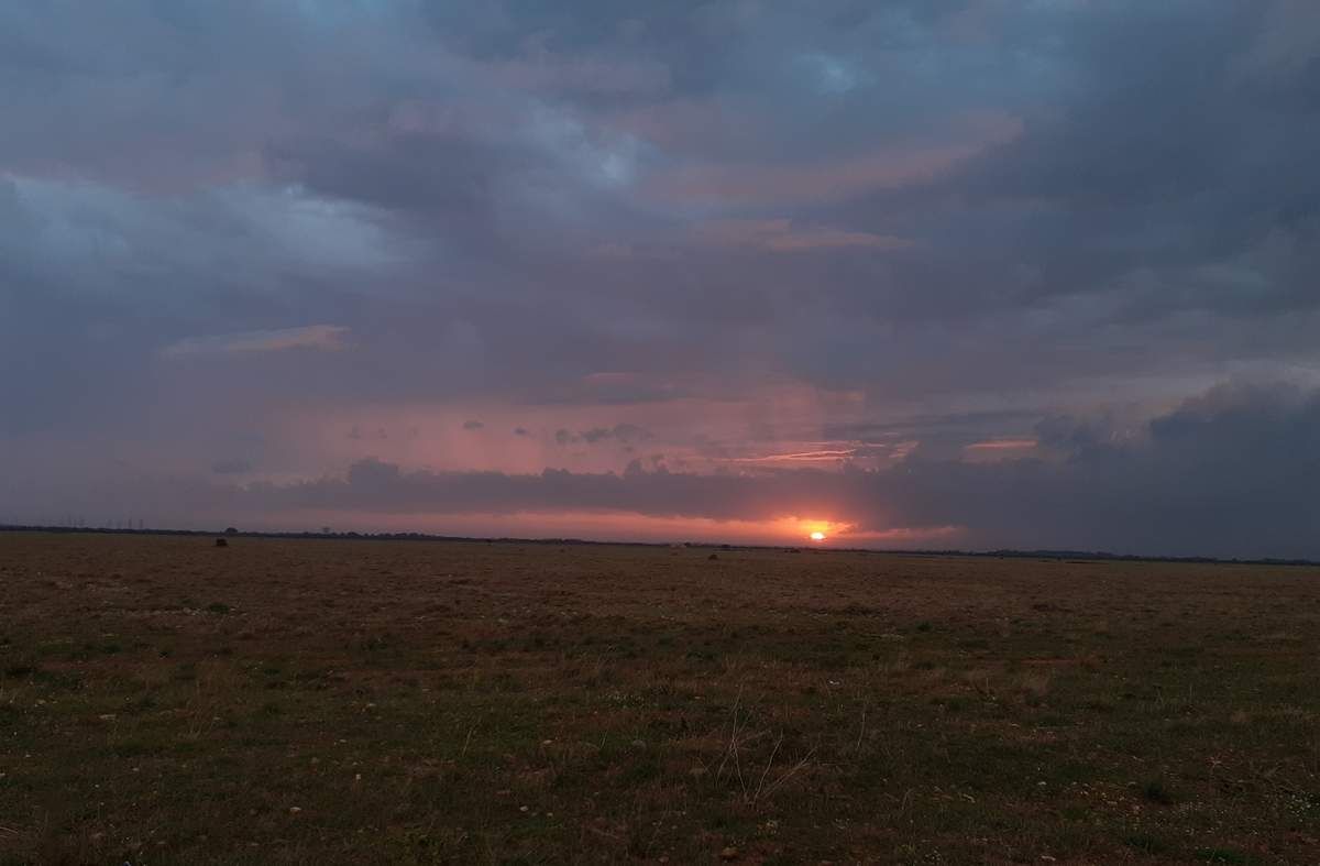 Coucher de soleil sur la Crau