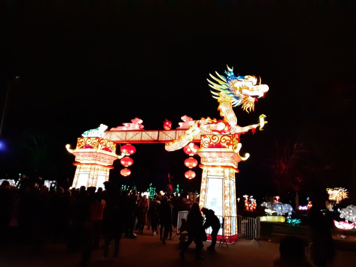dragon chinois