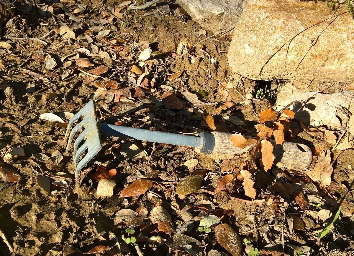 outils de jardin