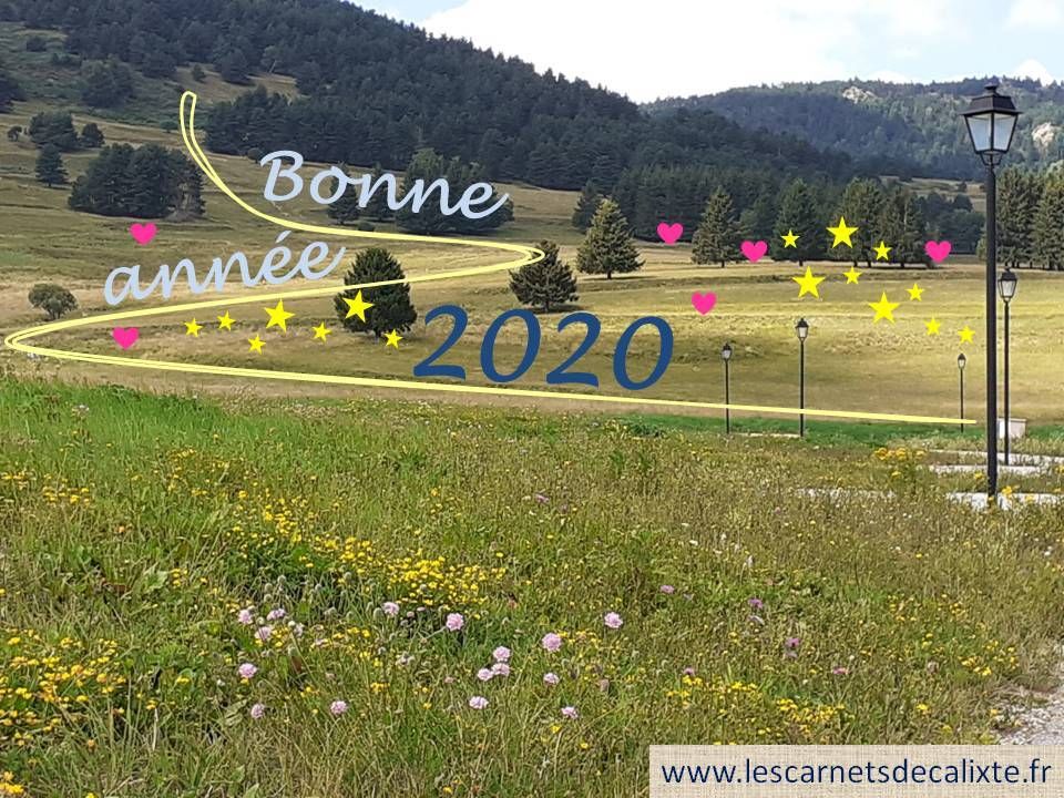meilleurs voeux pour la nouvelle année