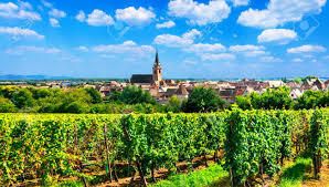 DEGUST'Emoi ou le Voyage Sensoriel -DEGUST'Emoi or the Sensory Journey