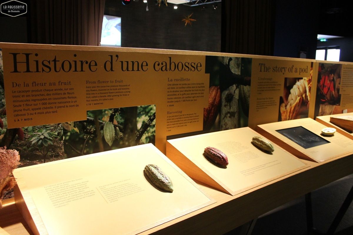 Découvrez la fabuleuse Cité du chocolat Valrhona - La Patisserie de Romain