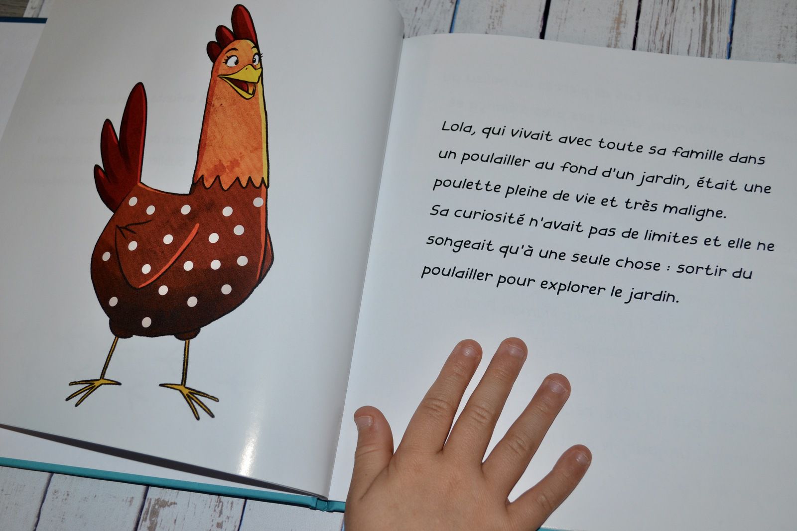 Livres et jeux : jolies idées pour les 3 - 6 ans - Poulette Blog