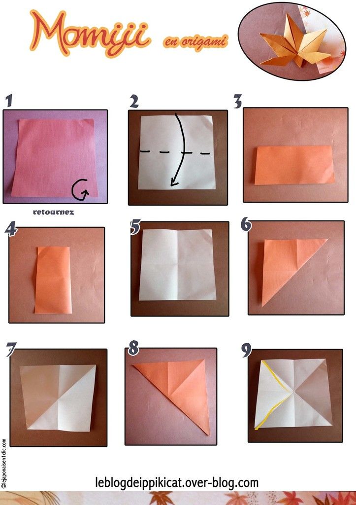 #momiji #erable #japonais #floral #blogdeippikicat #origami #automne