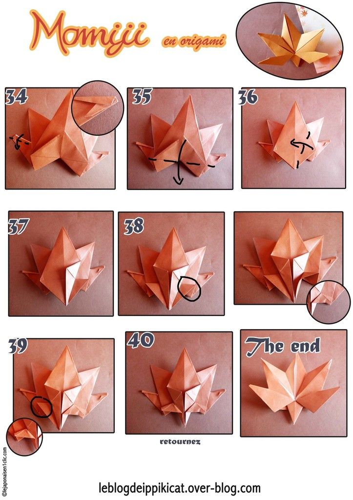 #momiji #erable #japonais #floral #blogdeippikicat #origami #automne