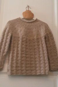 Modèle tricot gratuit pull enfant unisexe