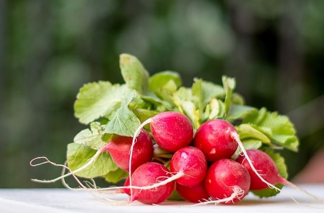Potage radis avec fanes