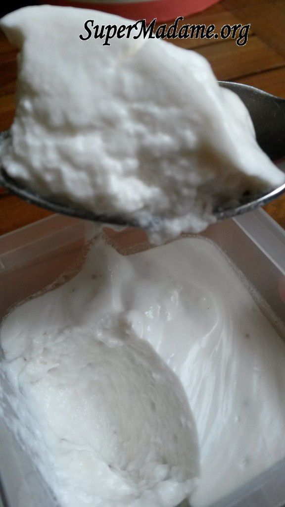 Le meilleur yaourt 100 % végétal à faire soi-même