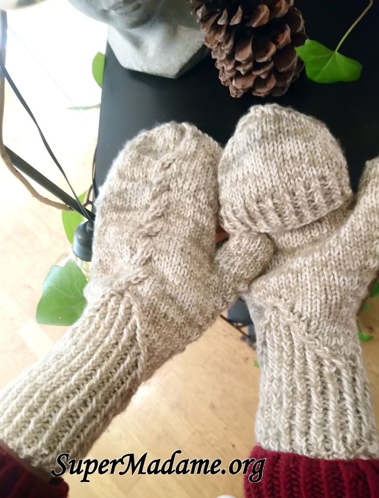 modèles tricot mitaines moufles convertibles Albiera