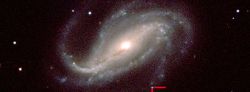 Une supernova photographiée par un astronome amateur