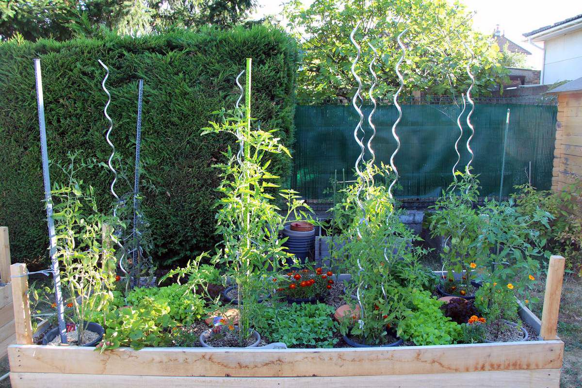 Le bac N°1, avec les plants de tomates toujours en pots, et le bac N°2, tout juste planté. 