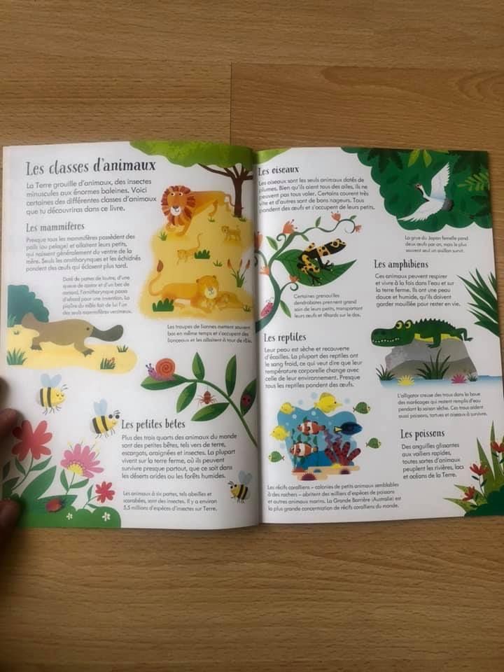Livre et puzzle Les animaux du monde Usborne 