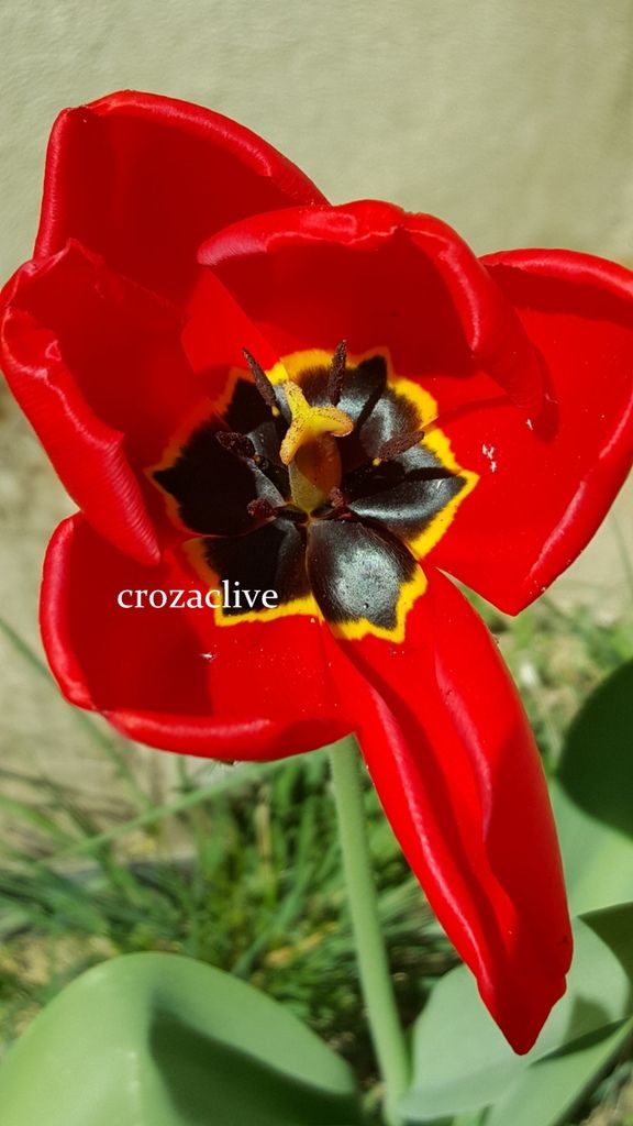 La minute de bonheur #216