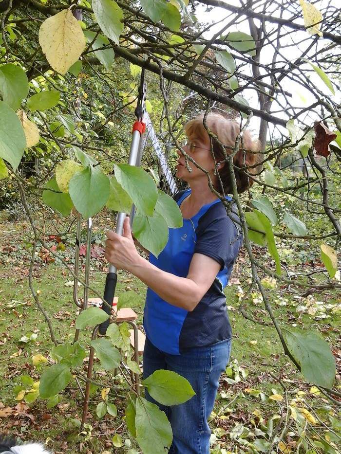 Un Potager à la Maison : permaculture, semis, arbres fruitiers, alimentation vivante