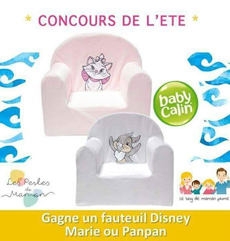 fauteuil mousse enfant Disney Panpan et Marie