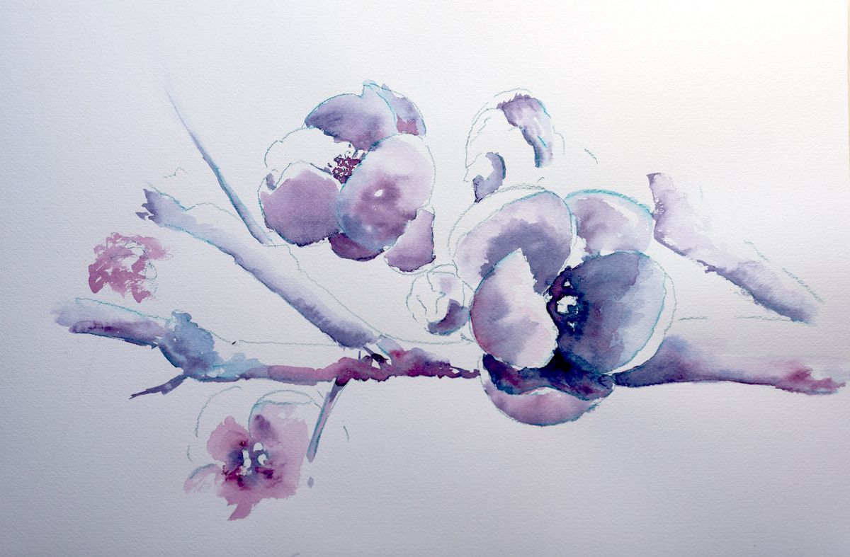 Bichromie Bleu Outremer et Quinacridone Fuchsia inspiré de Catherine Rey