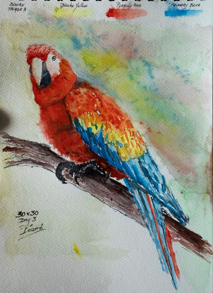Watercolor painting of a parrot using the High Contrast triad