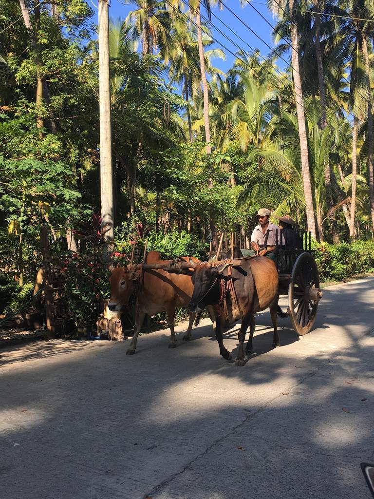 1 semaine à NGAPALI BEACH, Golfe du Bengale, MYANMAR - TONGS AUTOUR DU MONDE