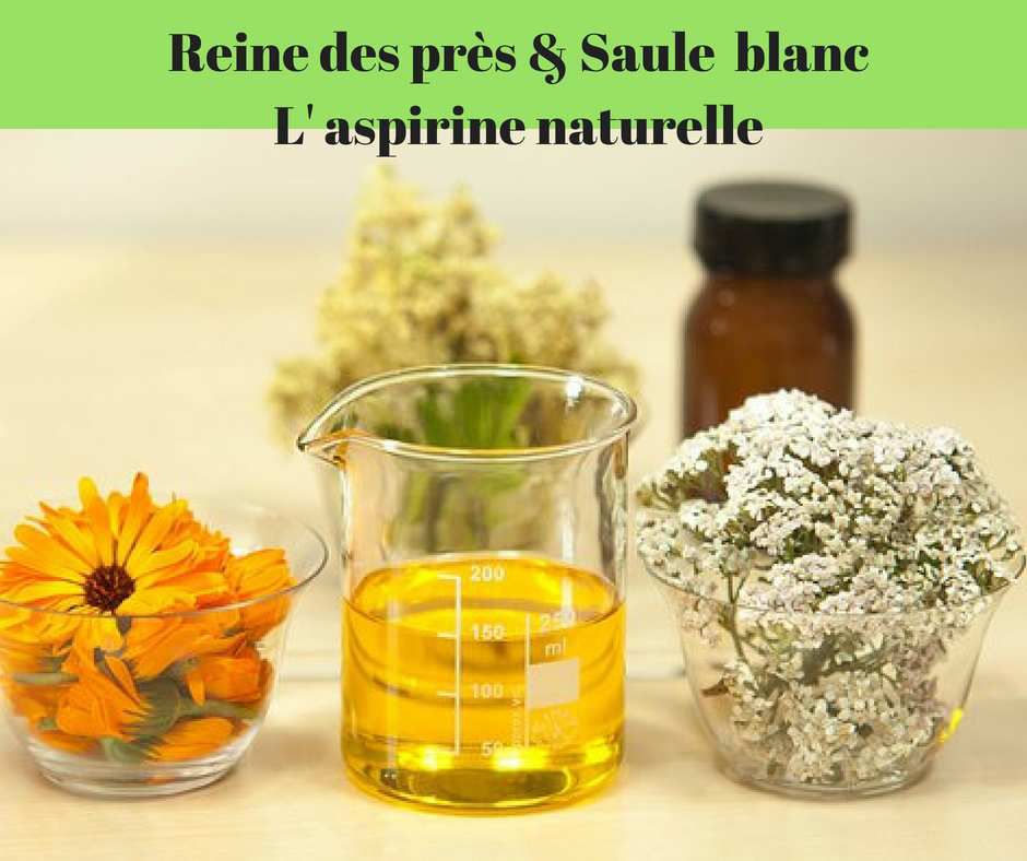 #aspirine_végétale