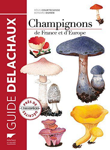 Question pour un champignon