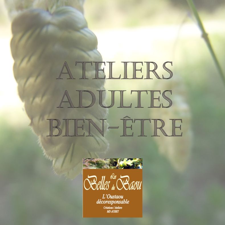 ateliersadultesbienetre_lesbellesdubaou