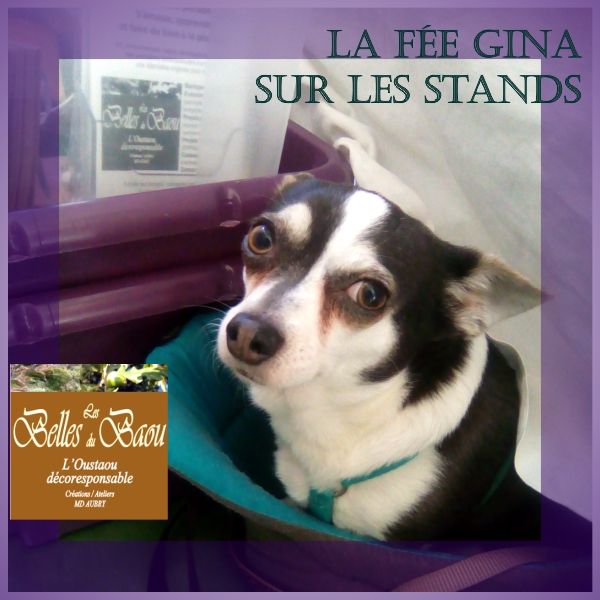 Baguettes magiques artisanales de la Fée Gina - Les Belles du Baou