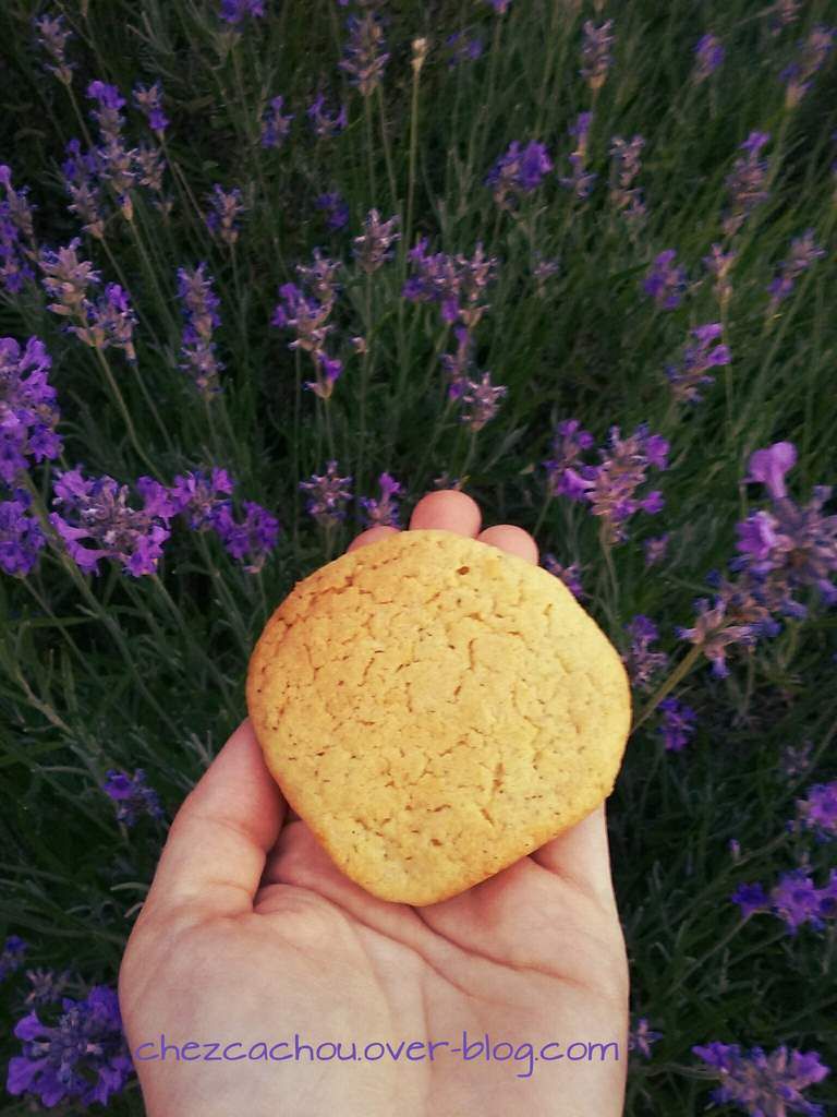 Biscuits au citron et à la lavande