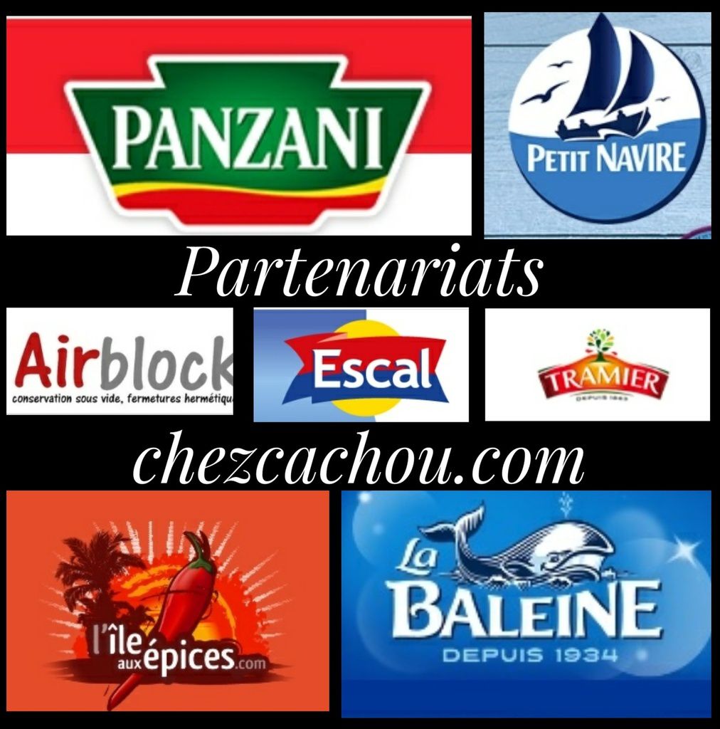 Partenariats blog chezcachou.com