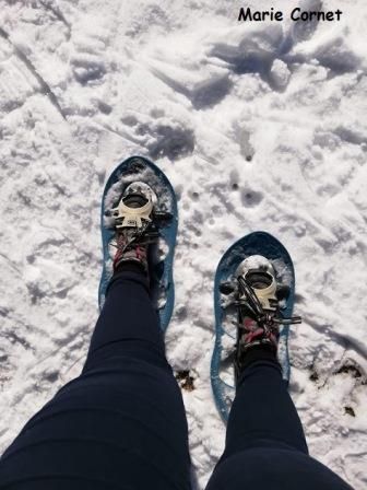 La reine des réseaux