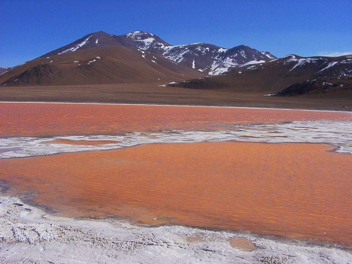 Laguna colorada, Bolivie, Sud Lipez