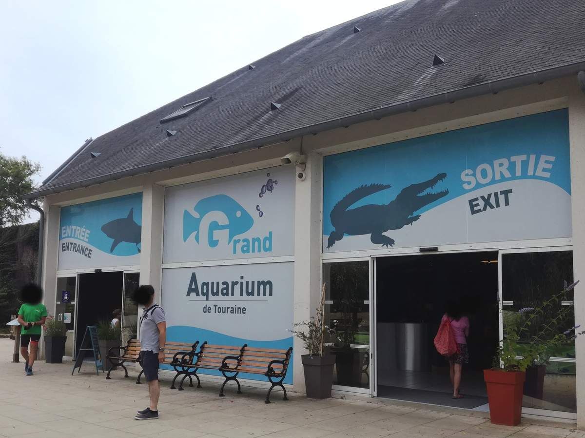 Retour sur ma visite au Grand Aquarium de Touraine